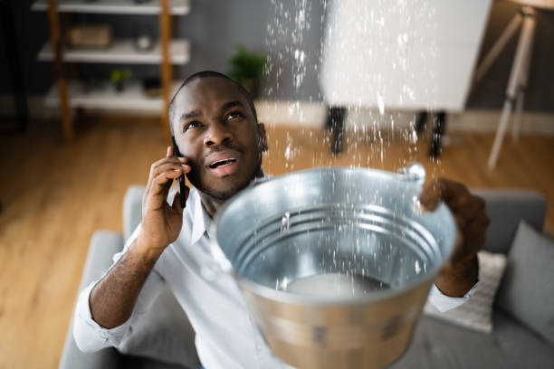 Best Mold removal after water damage  in Meadowlakes, TX