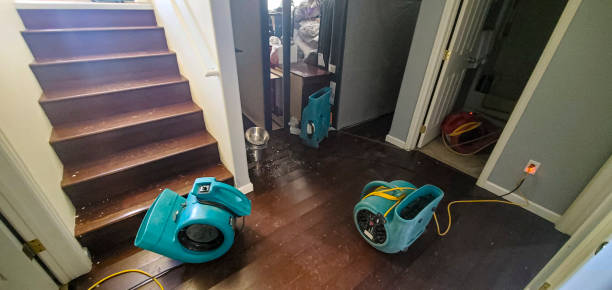 Best Water damage cleanup near me  in Meadowlakes, TX