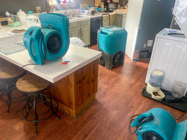 Best Sewage cleanup and water damage restoration  in Meadowlakes, TX
