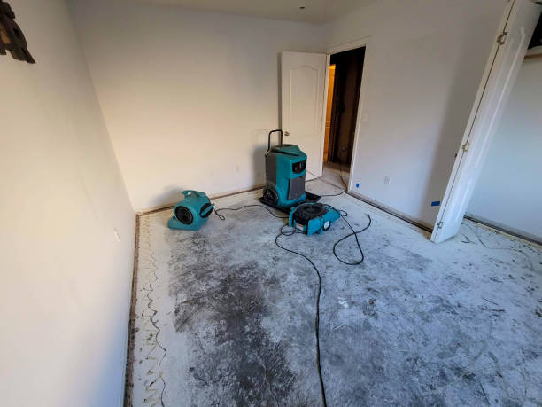 Best Local water damage restoration  in Meadowlakes, TX