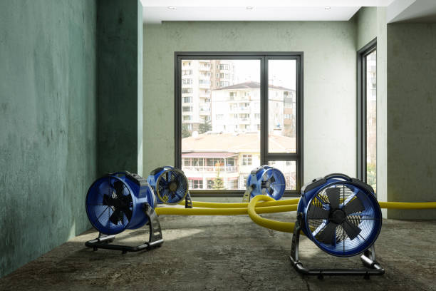 Best Water damage restoration near me  in Meadowlakes, TX