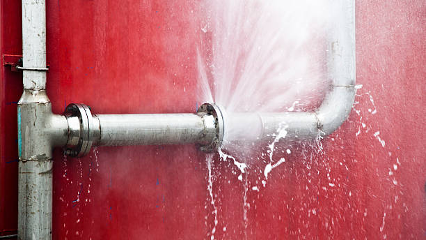 Best Carpet water damage restoration  in Meadowlakes, TX